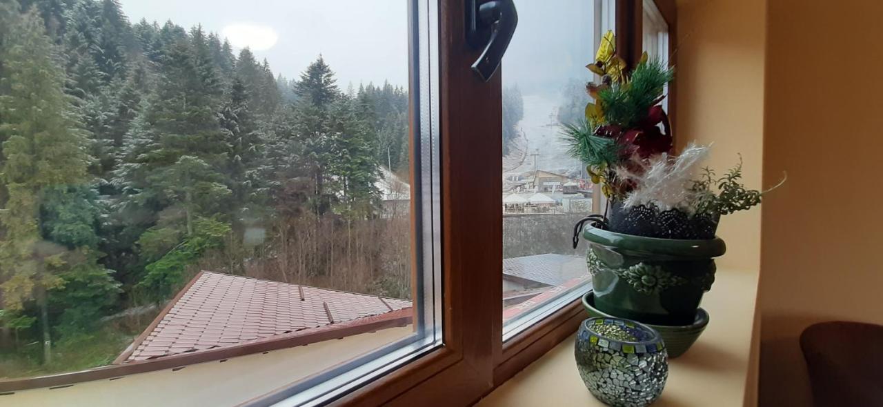 Kalinderu SKIER'S APARTAMENT BELLEVUE Busteni Bagian luar foto