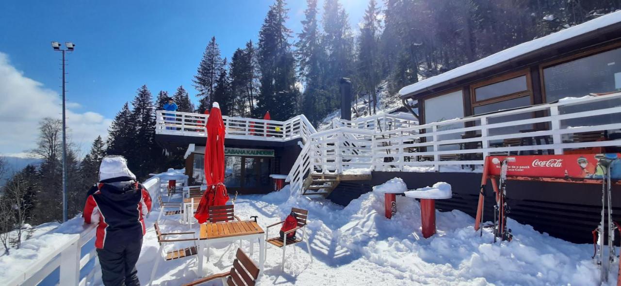 Kalinderu SKIER'S APARTAMENT BELLEVUE Busteni Bagian luar foto