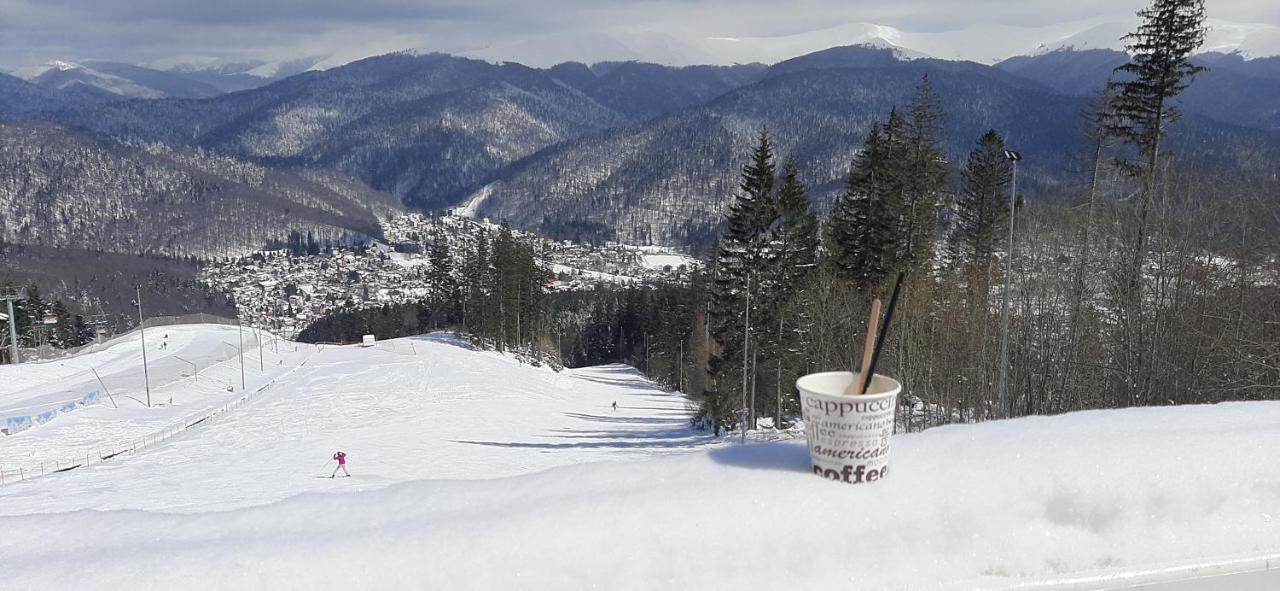 Kalinderu SKIER'S APARTAMENT BELLEVUE Busteni Bagian luar foto